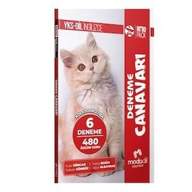 YKS-DİL IntroPack - Deneme Canavarı 6 Deneme - Modadil Yayınları