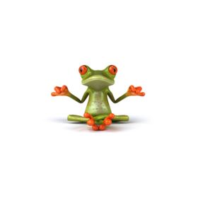 Yoga Yapan Kurbağa Oto Sticker