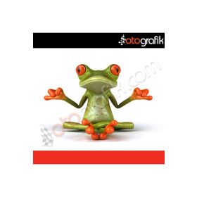 Yoga Yapan Kurbağa Oto Sticker