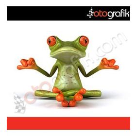 Yoga Yapan Kurbağa Oto Sticker