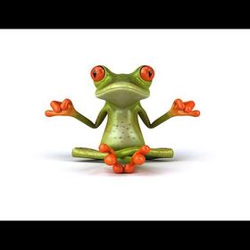 Yoga Yapan Kurbağa Oto Sticker