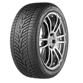 Yokohama 255/40 R19 100V BluEarth Winter V905 Kış Lastiği 2024