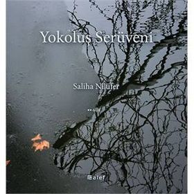 Yokoluş Serüveni - Saliha Nilüfer