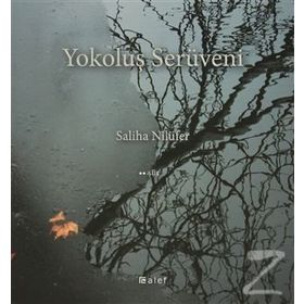 Yokoluş Serüveni - Saliha Nilüfer
