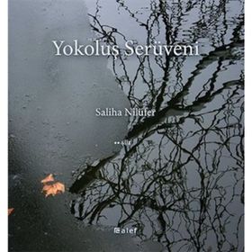 Yokoluş Serüveni - Saliha Nilüfer