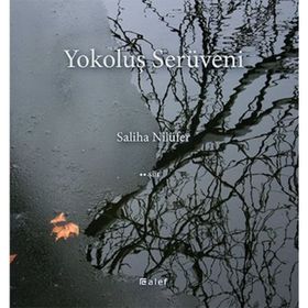 Yokoluş Serüveni - Saliha Nilüfer