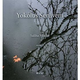 Yokoluş Serüveni - Saliha Nilüfer