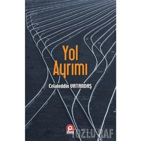 YOL AYRIMI - SALIH BOLAT