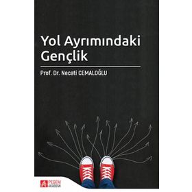 Yol Ayrımındaki Gençlik - Necati Cemaloğlu