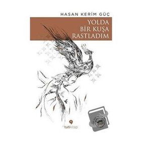 Yolda Bir Kuşa Rastladım - Hasan Kerim Güç