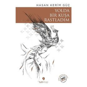 Yolda Bir Kuşa Rastladım - Hasan Kerim Güç