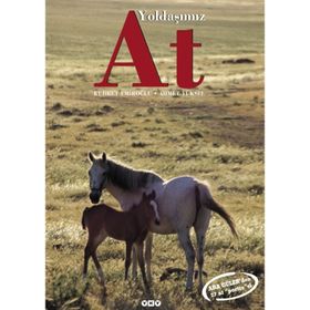 YOLDAŞIMIZ AT - KUDRET EMİROĞLU; AHMET YÜKSEL