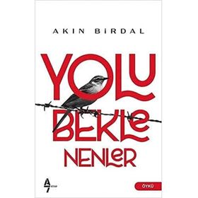 Yolu Beklenenler - Akın Birdal