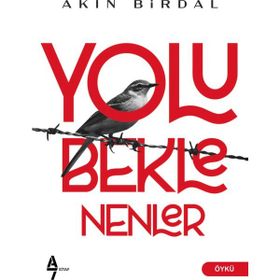 Yolu Beklenenler - Akın Birdal