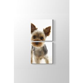 Yorkshire Köpek Tablosu