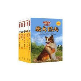Yorumluyorum – 5 - Ersan Şen