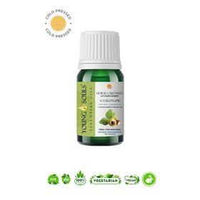 Young Souls 10 ml Aromaterapi At Kestanesi (Bitkisel Sabit) Yağ