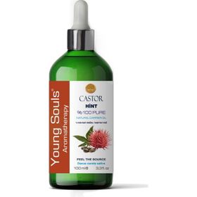 Young Souls Aromaterapi 100 ml Hint Bitkisel Sabit Yağ