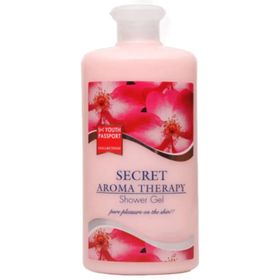 Youth Passport Secret 650 ml Duş Jeli