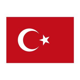 Yükselen 100x150 Bayrak