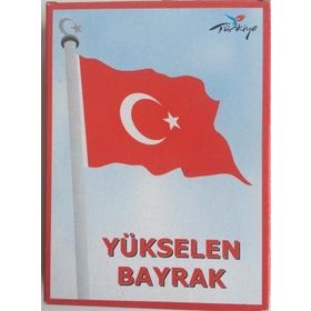 Yükselen 100x150 Bayrak