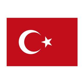 Yükselen 100x150 Bayrak