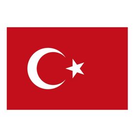 Yükselen 300x450 Bayrak
