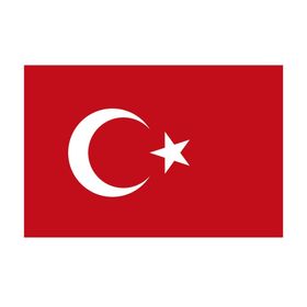 Yükselen 50x75 Türk Bayrağı