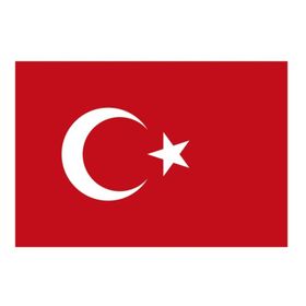 Yükselen 50x75 Türk Bayrağı