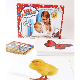 Yükselen Zeka Yayınları Bebek Zeka Kartları 12-36 Ay