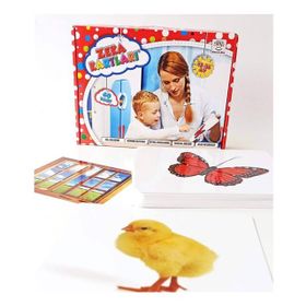 Yükselen Zeka Yayınları Bebek Zeka Kartları 12-36 Ay