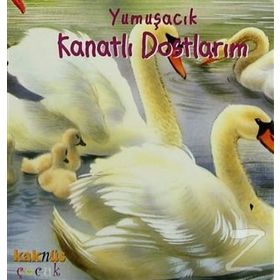 YUMUŞACIK KANATLI DOSTLARIM (0-5 YAŞ) - PHILIPPE SALEMBIER