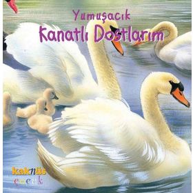 YUMUŞACIK KANATLI DOSTLARIM (0-5 YAŞ) - PHILIPPE SALEMBIER