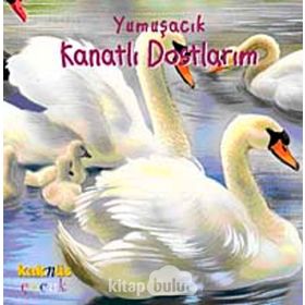 YUMUŞACIK KANATLI DOSTLARIM (0-5 YAŞ) - PHILIPPE SALEMBIER