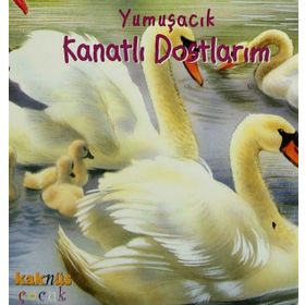 YUMUŞACIK KANATLI DOSTLARIM (0-5 YAŞ) - PHILIPPE SALEMBIER