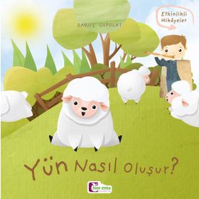 Yün Nasıl Oluşur? Zarife Üstpolat