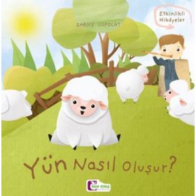 Yün Nasıl Oluşur? Zarife Üstpolat
