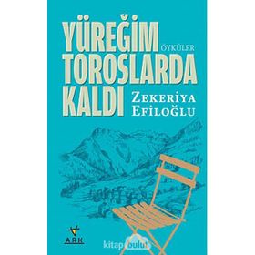 YÜREĞIM TOROSLARDA KALDI - ZEKERIYA EFILOĞLU