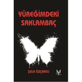 Yüreğimdeki Saklambaç - Şule Özçakıcı