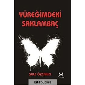 Yüreğimdeki Saklambaç - Şule Özçakıcı
