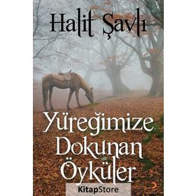 Yüreğimize Dokunan Öyküler - Halit Şavlı