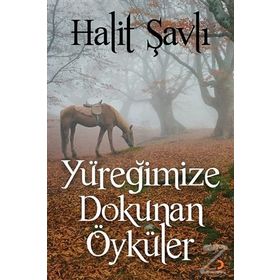 Yüreğimize Dokunan Öyküler - Halit Şavlı