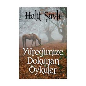 Yüreğimize Dokunan Öyküler - Halit Şavlı