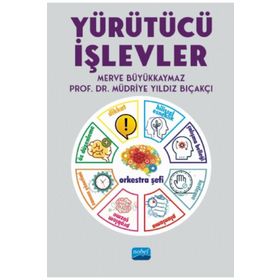 Yürütücü İşlevler - Nobel Yayınevi