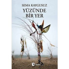 Yüzünde Bir Yer - Sema Kaygusuz