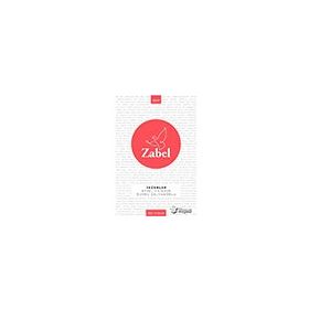 Zabel Bgst Yayınları