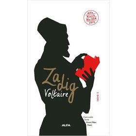 Zadig&Voltaire 101134777001 Gümüş Etek