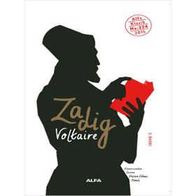 Zadig&Voltaire 101134777001 Gümüş Etek