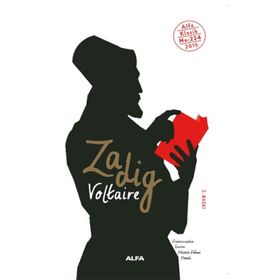 Zadig&Voltaire 101134777001 Gümüş Etek