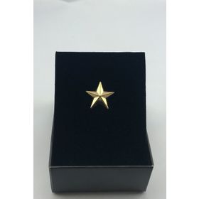 Zaim Aksesuar 312 Gold Yıldız Broş